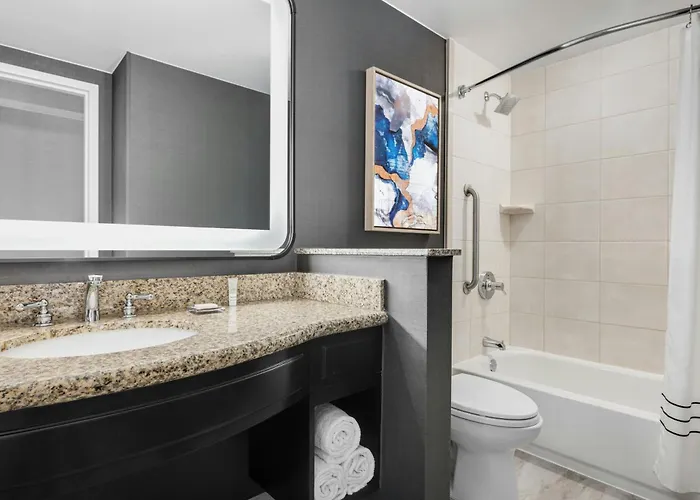Hotel Chicago Marriott Midway 3*