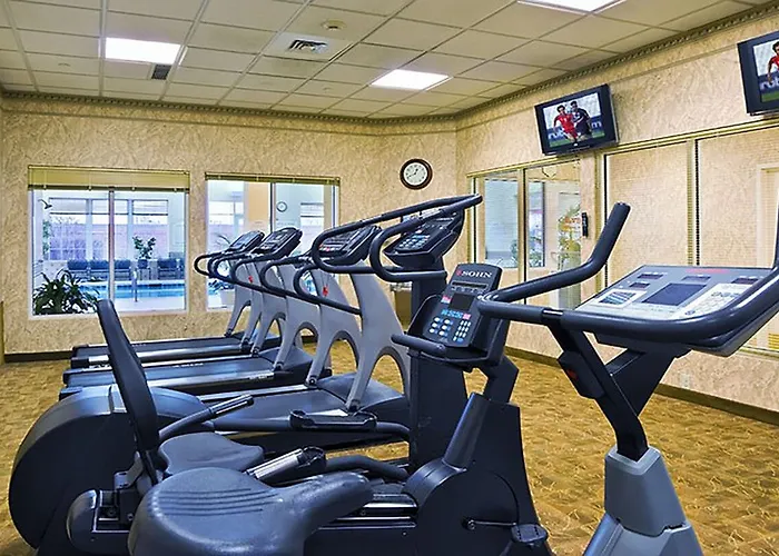 Hotel Chicago Marriott Midway Bedford Park